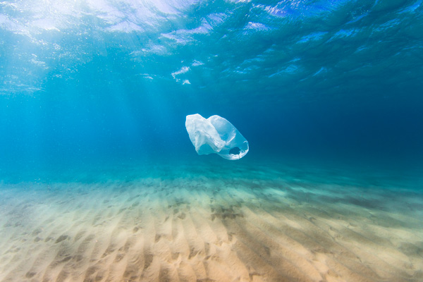 día mundial medioambiente bolsas plástico