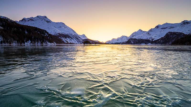 Foro Davos