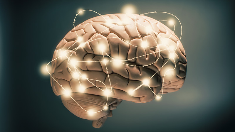 compliance cerebro racional