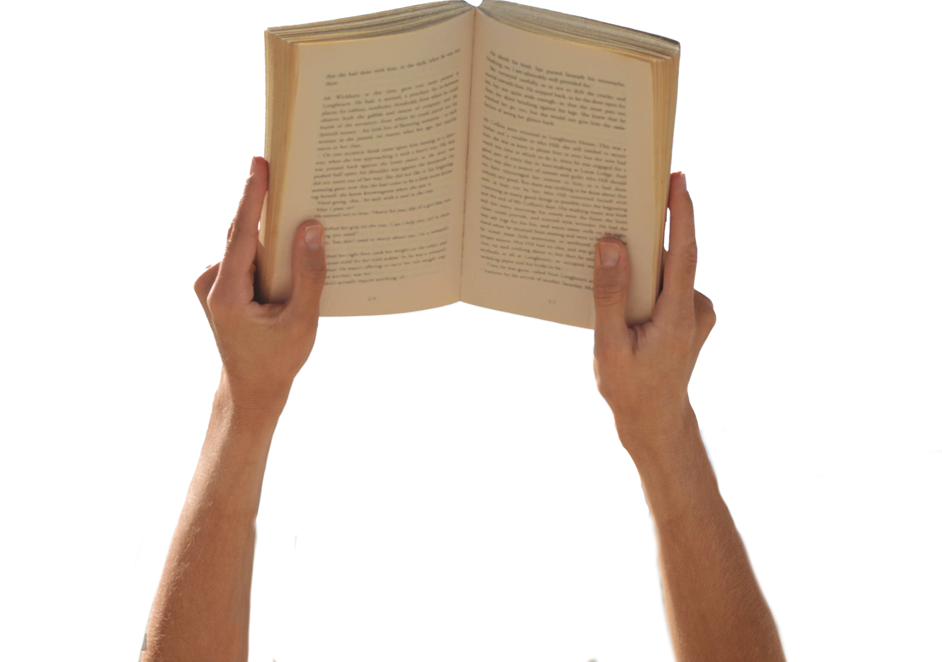lecturas verano