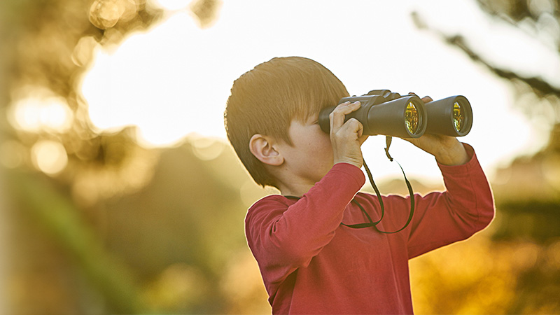 blanqueo de capitales