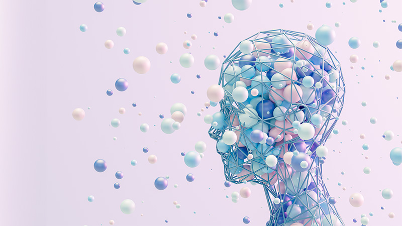 identidades no humanas