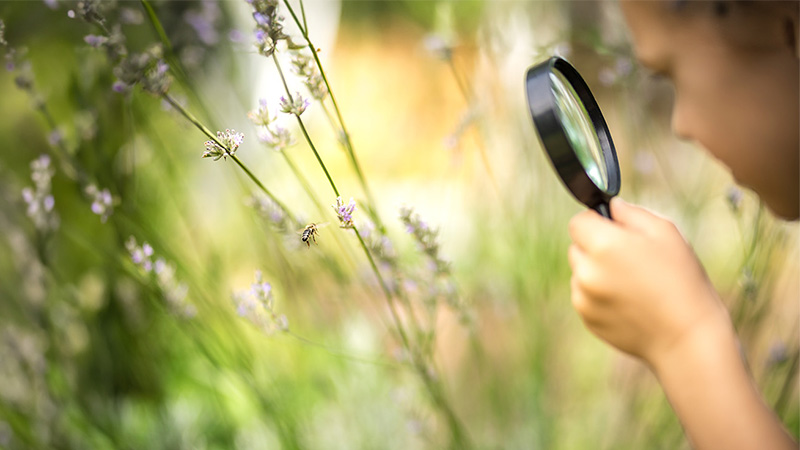 compliance-investigaciones-internas