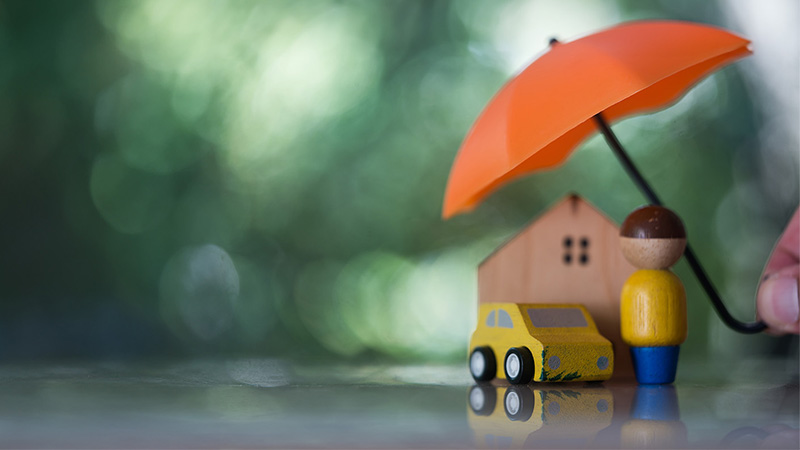 ciberfraude-seguros_800x450